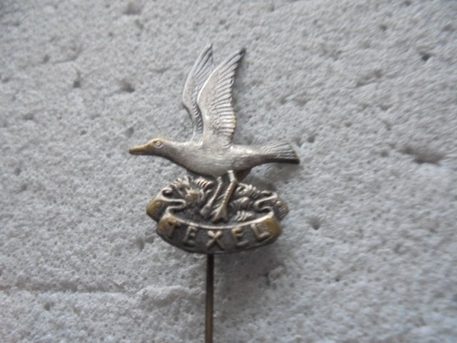SPELDJE  TEXEL, Ophalen of Verzenden, Zo goed als nieuw, Stad of Land, Speldje of Pin