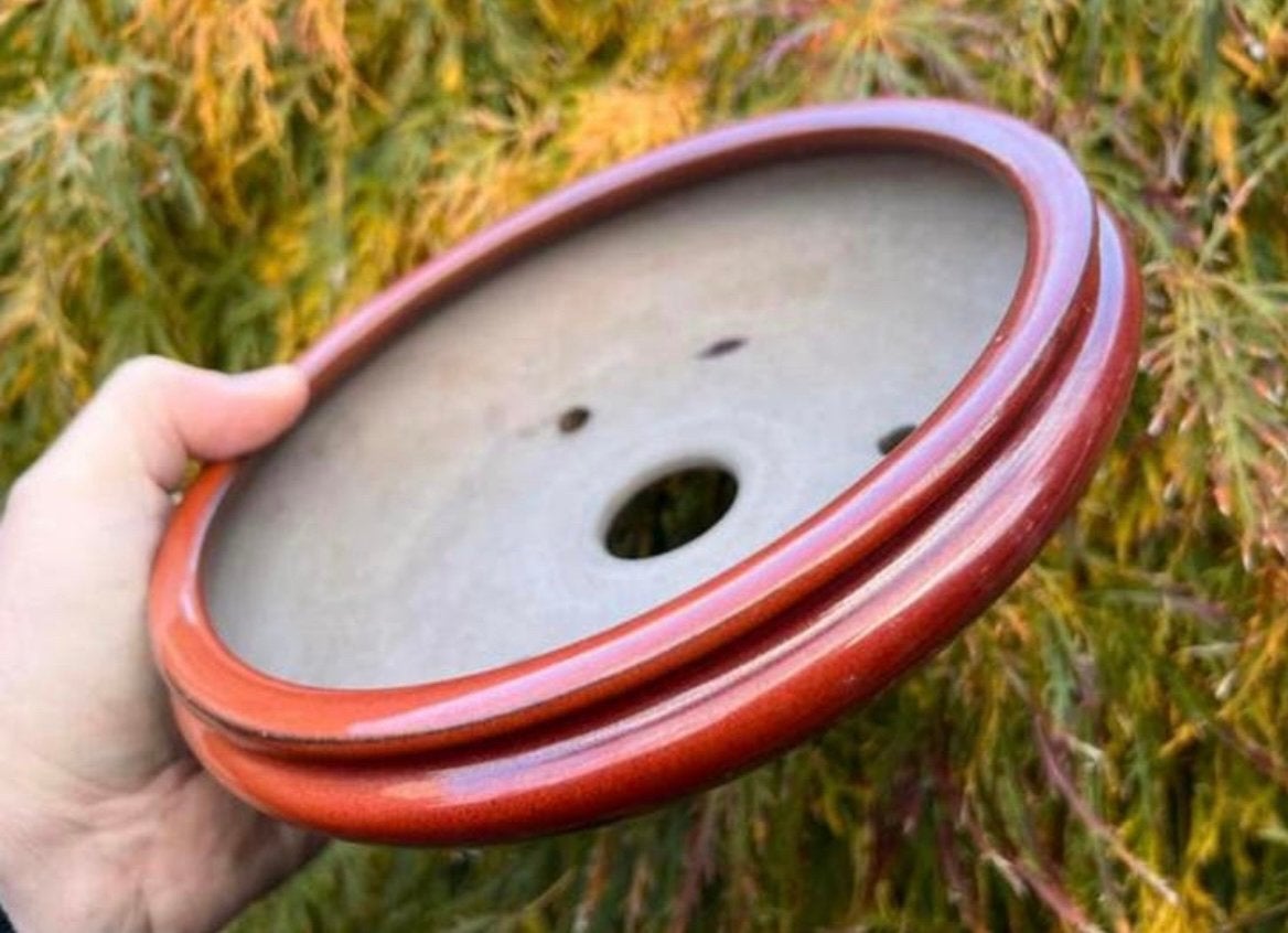 Bonsai schaal rond bruin geglazuurd Japans aardewerk 21x6, Rond, Ophalen of Verzenden, Zo goed als nieuw, Aardewerk