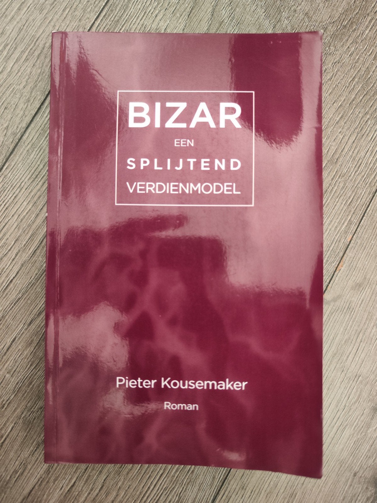 BIZAR - een splijtend verdienmodel – Pieter Kousemaker, Ophalen of Verzenden, Gelezen