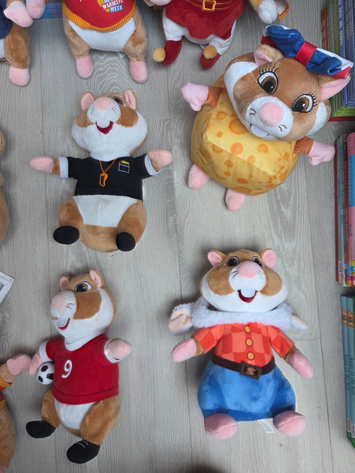 AH Hamsters, Ophalen of Verzenden, Gebruikt, Overige typen