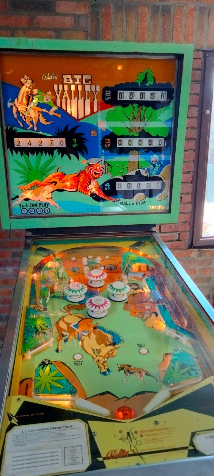 Bally Big Valley, Verzamelen, Automaten | Flipperkasten, Ophalen, Flipperkast