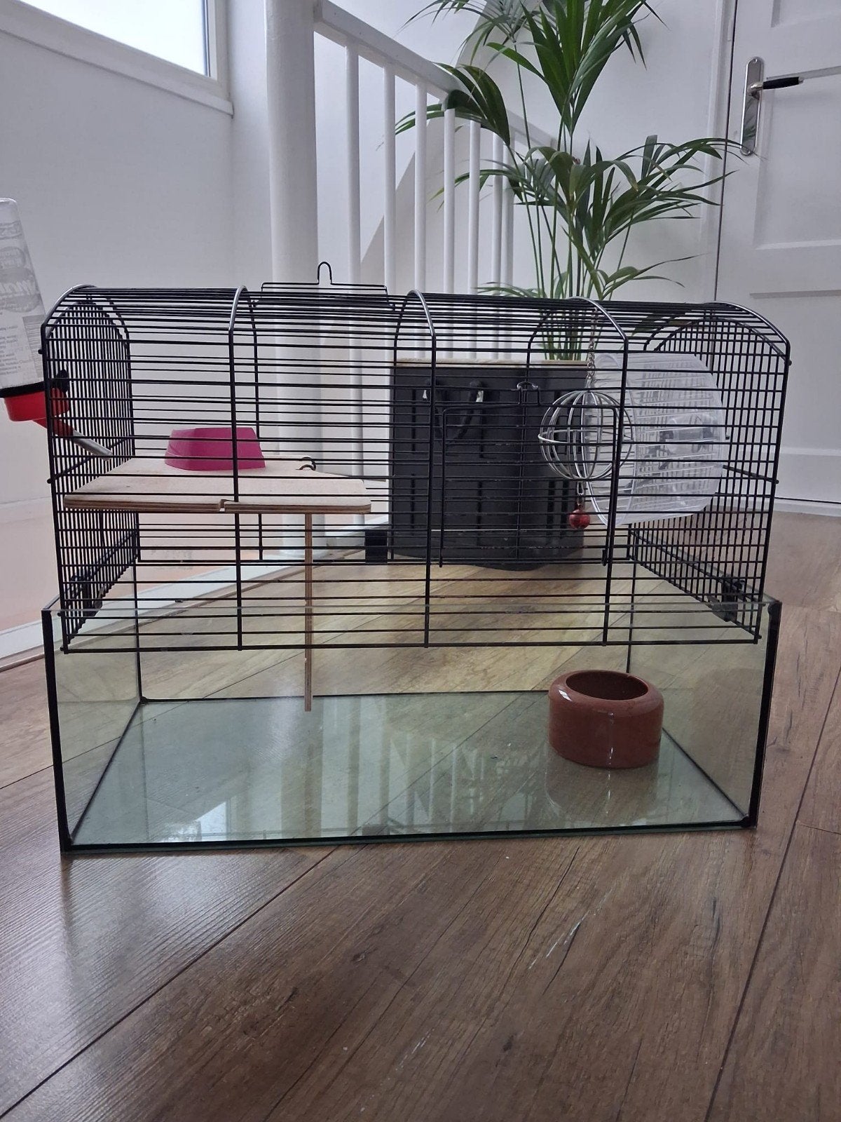 Hamsterhok, Kooi, Gebruikt, Minder dan 75 cm, Hamster