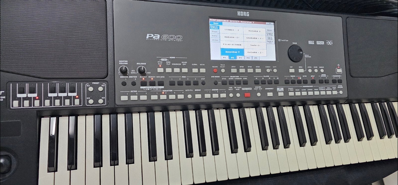 Korg Pa600 Professional Arranger Keyboard, Muziek en Instrumenten, Ophalen, Korg, Midi-aansluiting, 61 toetsen