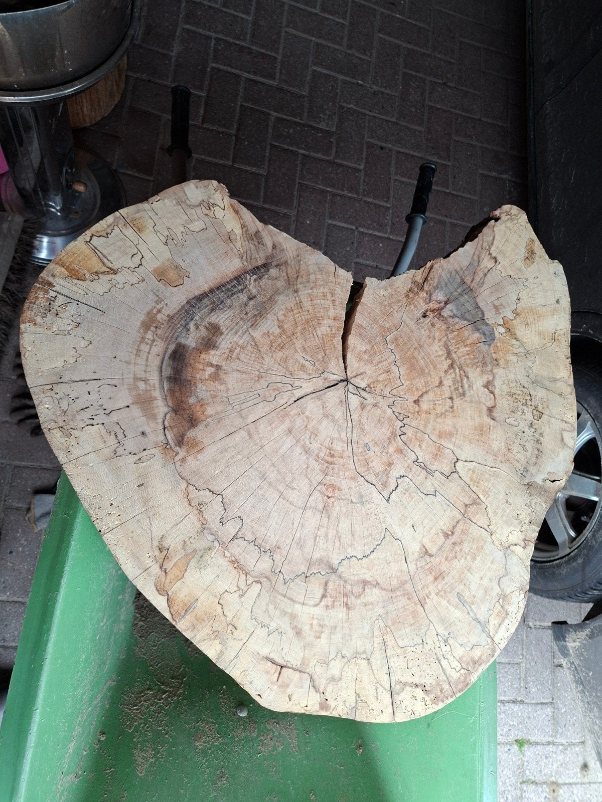 Beukenhouten schijf hout, Ophalen