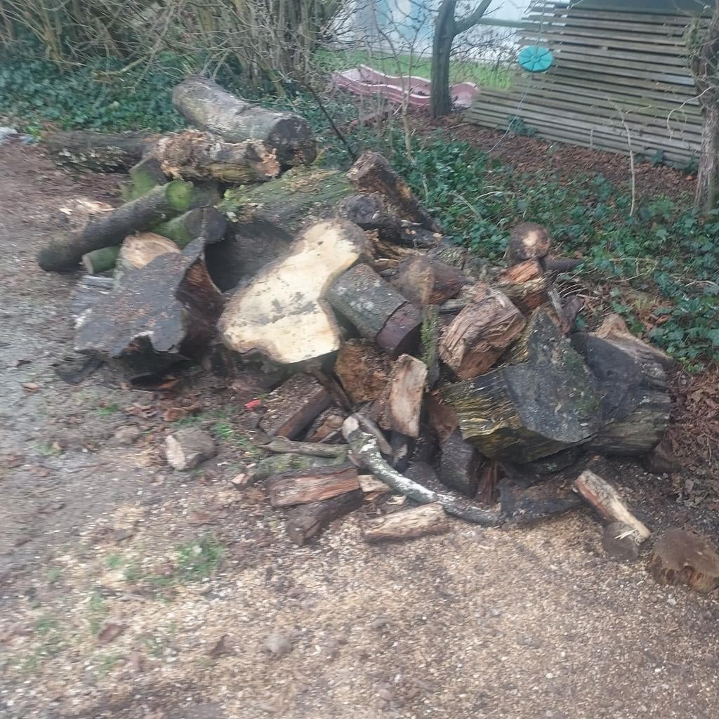 Openhaardhout, Minder dan 3 m³, Ophalen of Verzenden