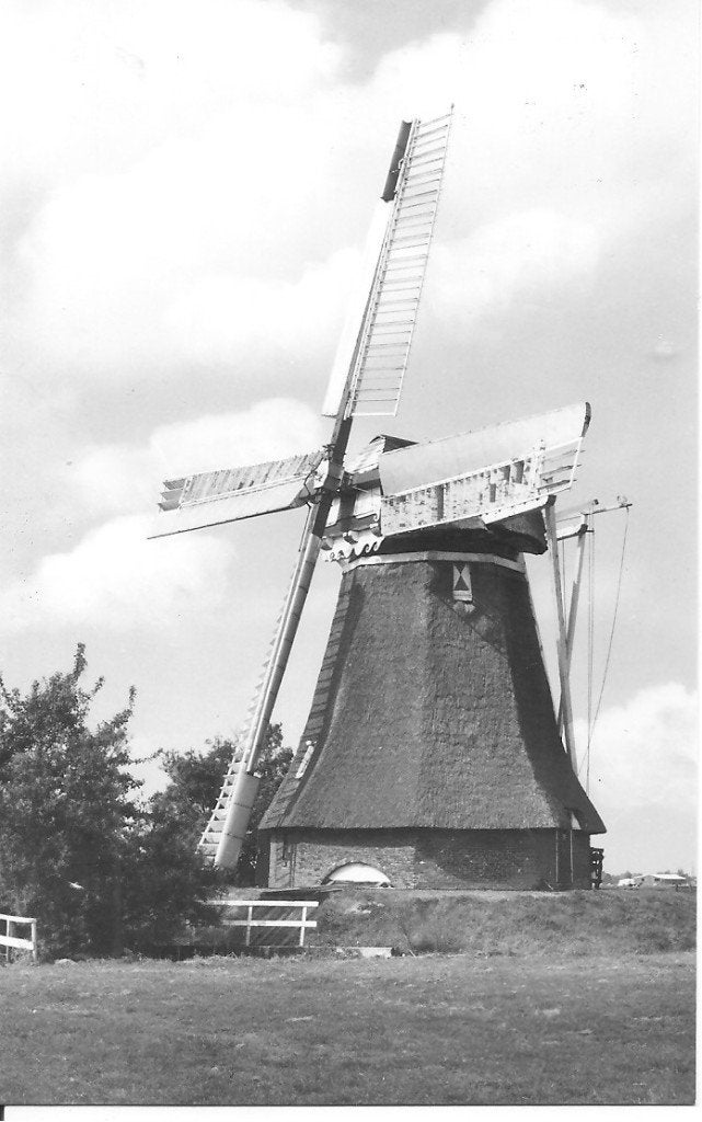 Zuidwolde "Koningslaagte" molen - Oude Ansichtkaart, Ophalen of Verzenden, 1960 tot 1980, Ongelopen, Groningen