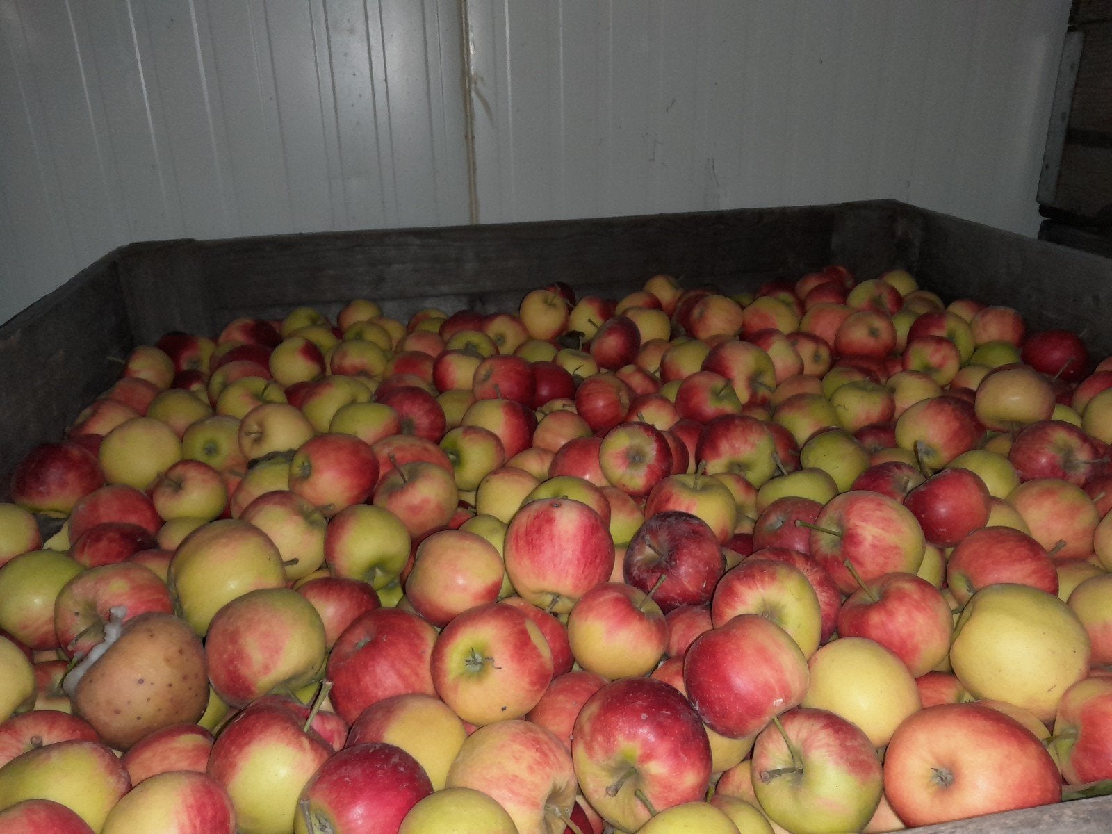 appels, Ophalen