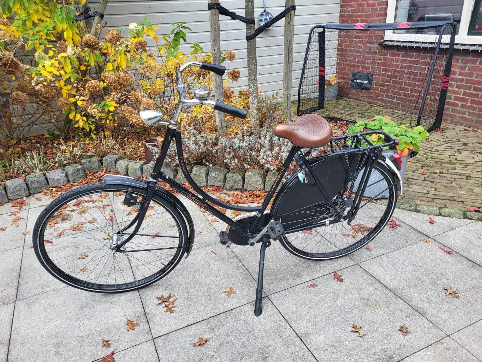 Opoefiets (damesfiets) met lage instap en bagagedrager, Terugtraprem, Ophalen, Overige merken, 53 tot 56 cm