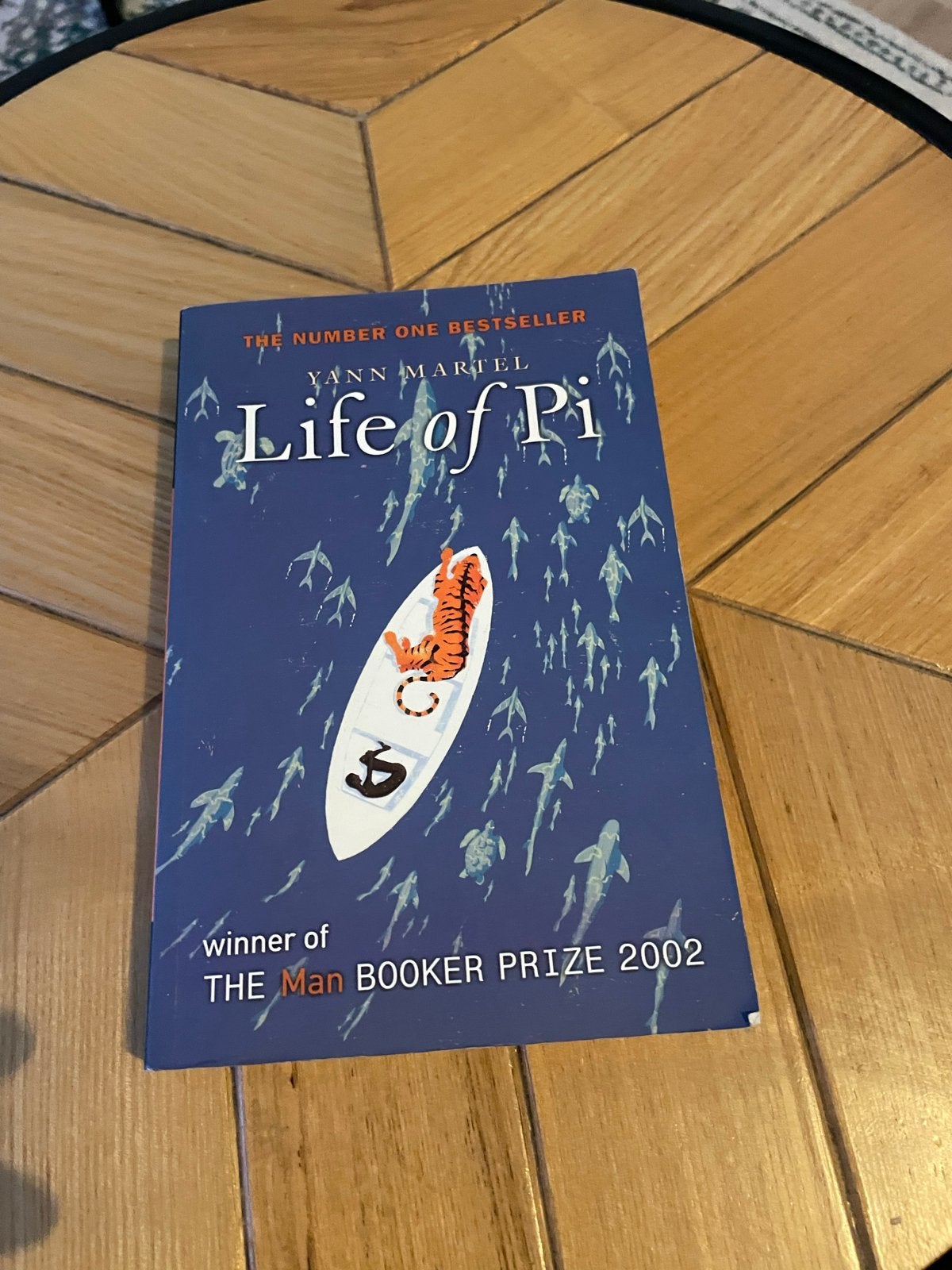 Life of Pi - Yann Martel (Man Booker Prize 2002 winnaar), Boeken, Ophalen of Verzenden, Gelezen, Europa overig