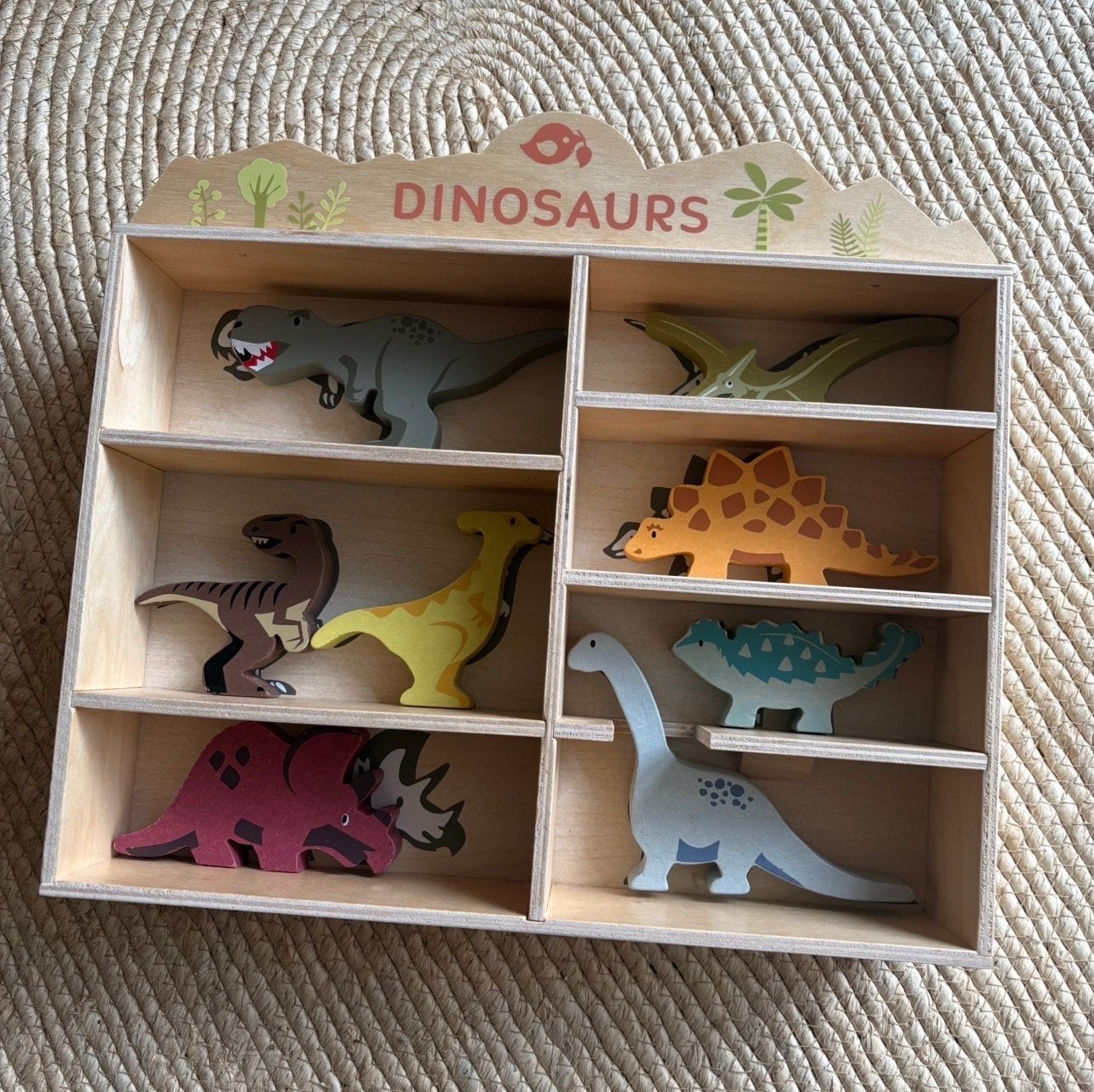 Tender leaf toys dino set, Ophalen, Zo goed als nieuw, Jongen of Meisje