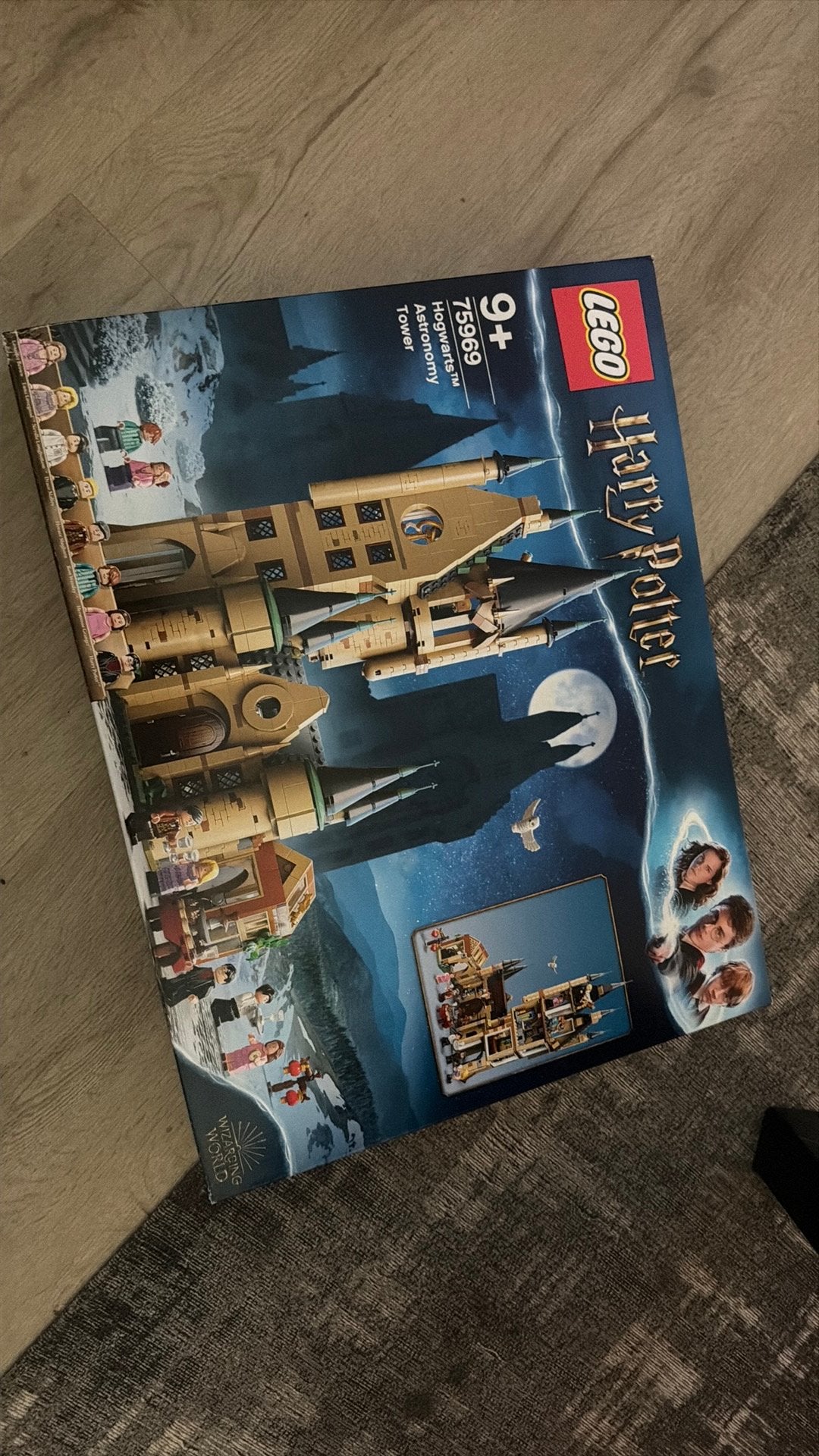 LEGO Harry Potter Hogwarts Astronomy Tower 75969, Lego, Ophalen of Verzenden, Compleet, Complete set