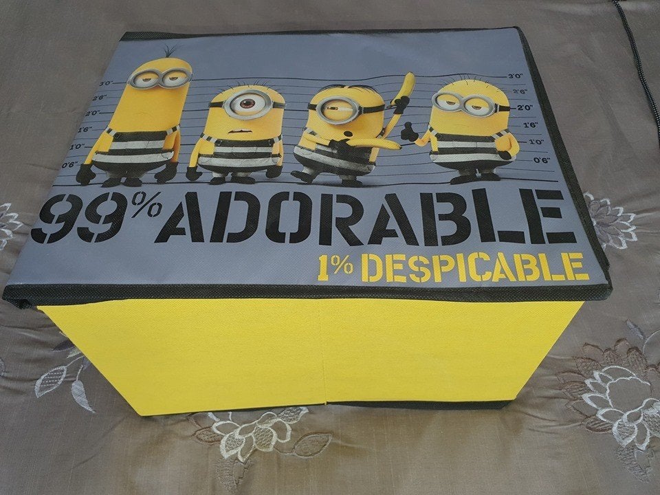 Minions opbergbox - 99% Adorable, 1% Despicable, Ophalen of Verzenden, Zo goed als nieuw