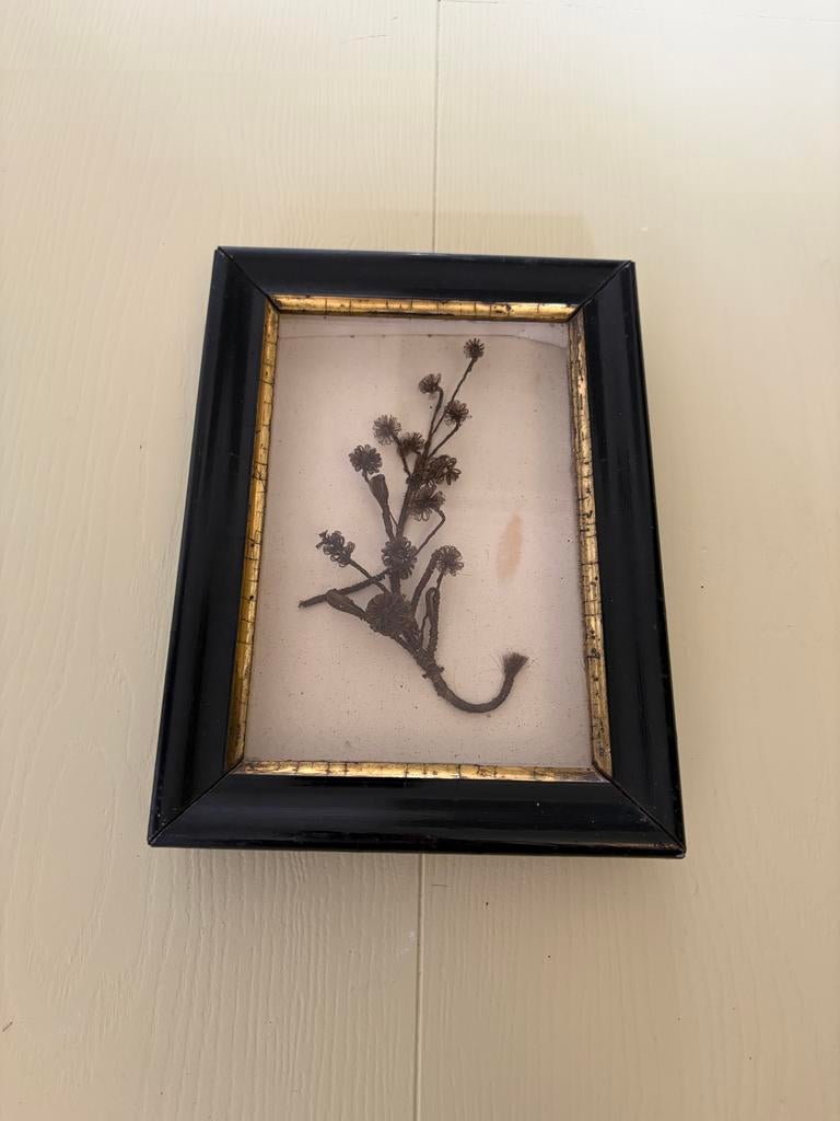 Antiek Victoriaans Haarkunst in Lijst, Ophalen of Verzenden