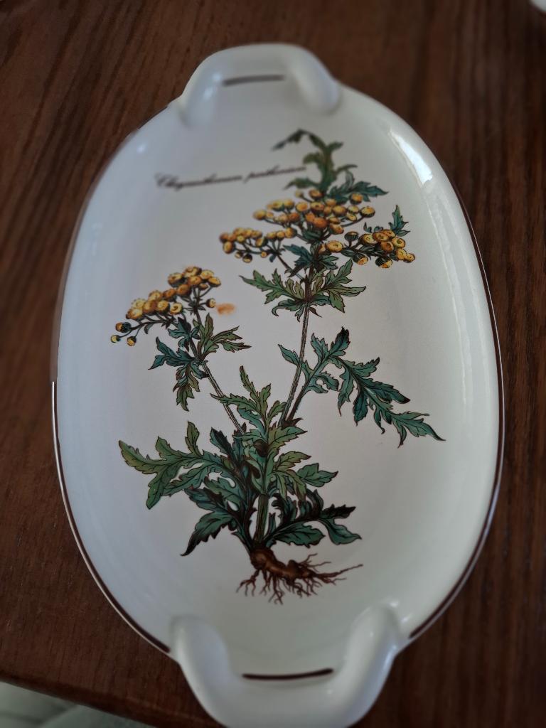 Botanica vleesschaaltje, Ophalen of Verzenden