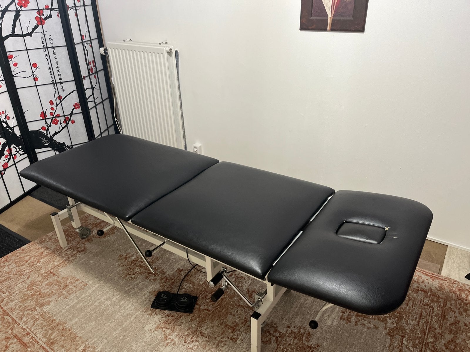Behandeltafel Enraf Nonius Manumed, Ophalen, Gebruikt, Massagetafel