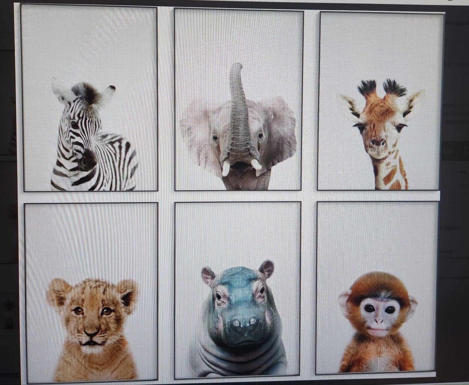 6 A4 Posters met Dierenprints - Zonder Lijst, Minder dan 50 cm, Nieuw, Ophalen of Verzenden, Foto of Poster