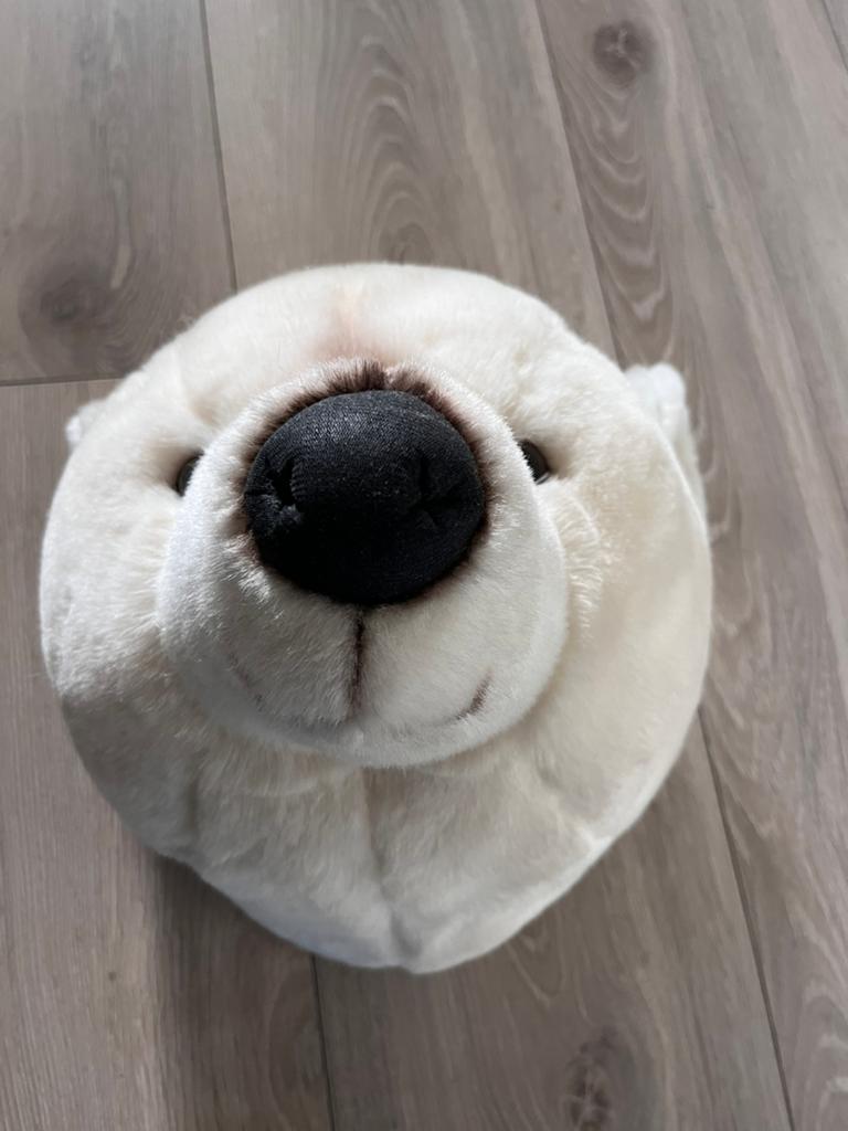 Decoratie dierenkop ijsbeer, Ophalen of Verzenden, Zo goed als nieuw, Wanddecoratie