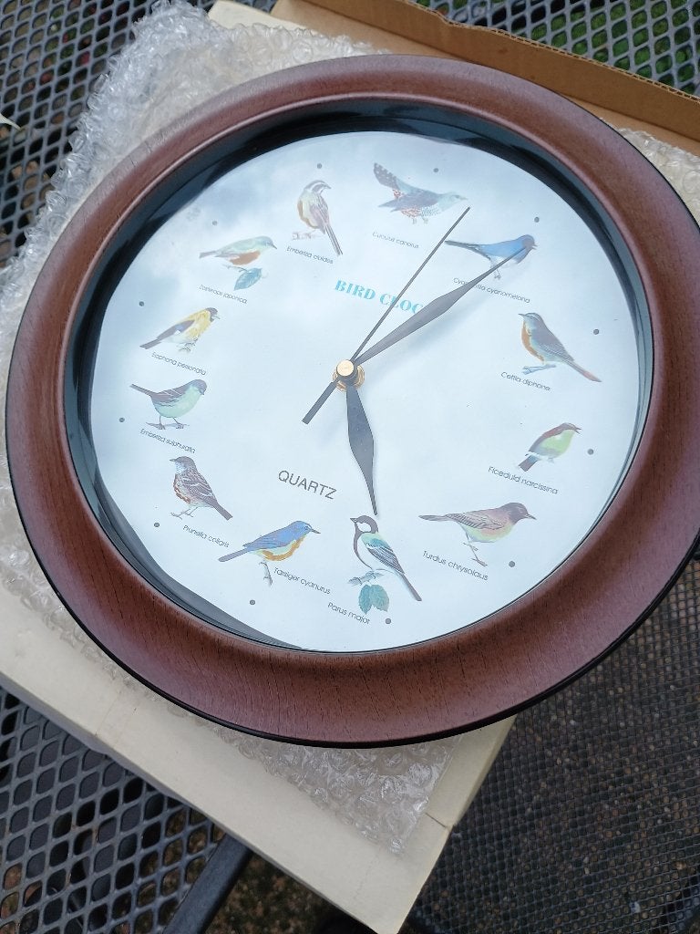 Vogel Klok  Nieuw, Ophalen, Nieuw, Analoog, Wandklok