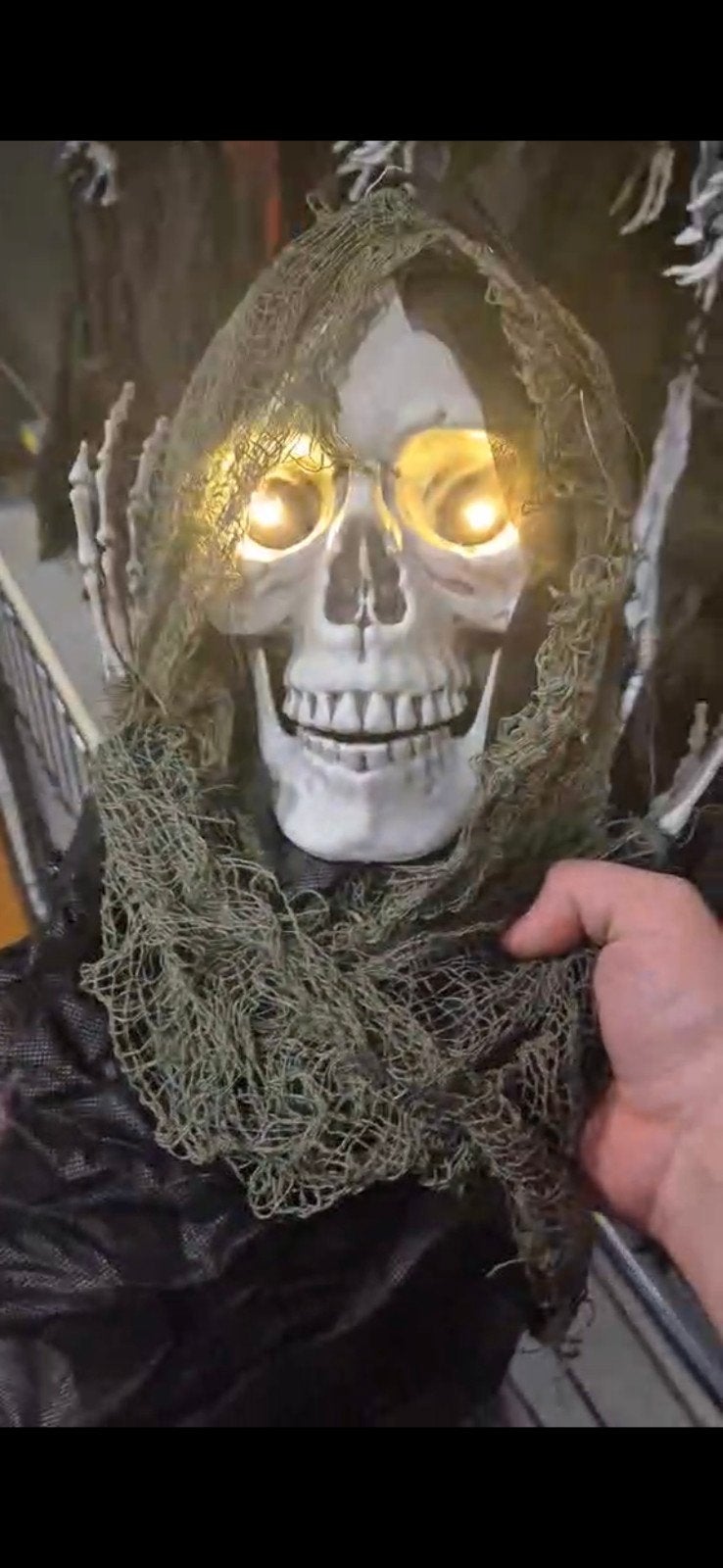 hangend skelet met gaas, Ophalen of Verzenden, Nieuw, Versiering, Halloween of Griezel