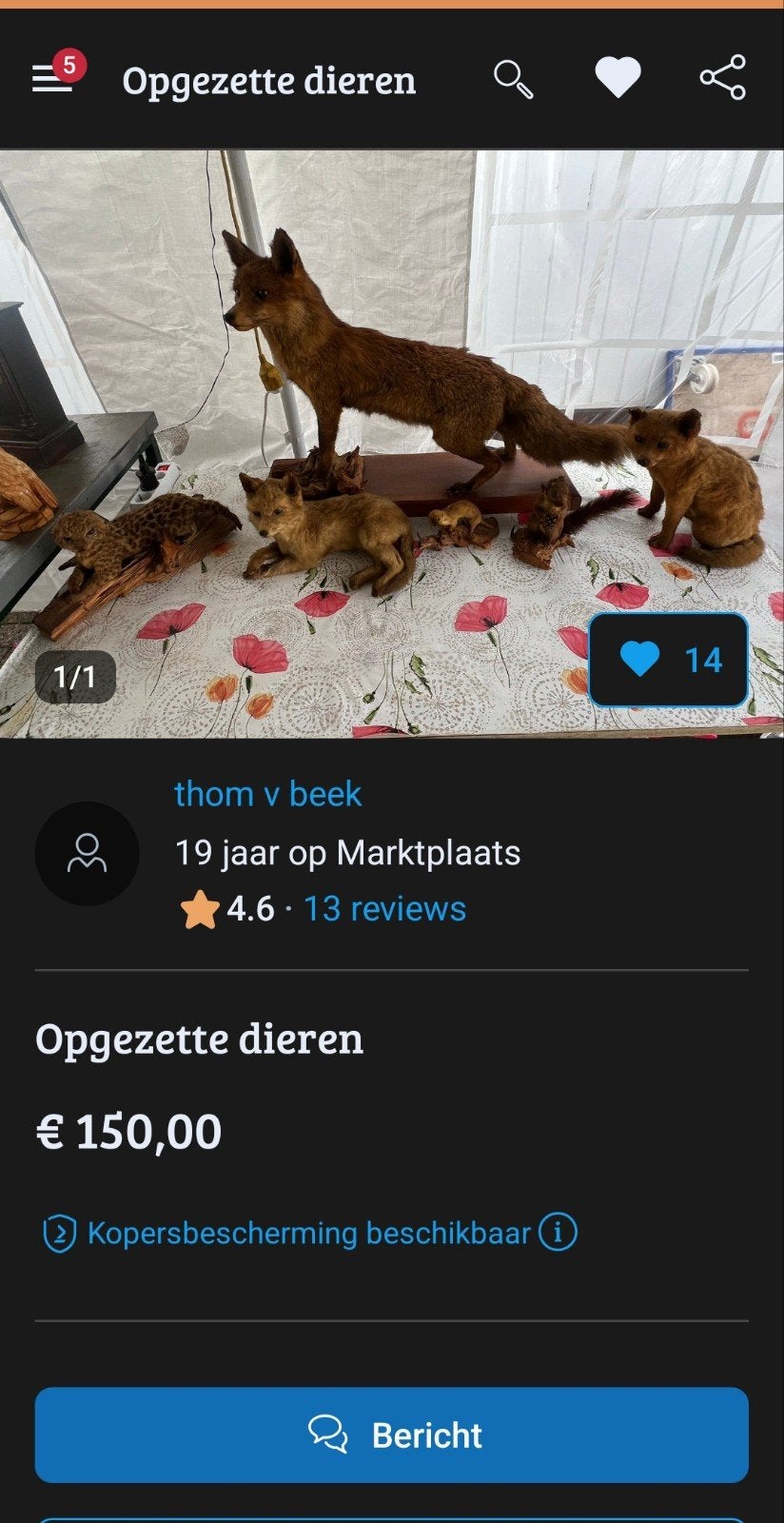 heeft iemand opgezette dieren van dit persoon gekocht?, Ophalen of Verzenden, Gebruikt, Wild dier, Opgezet dier