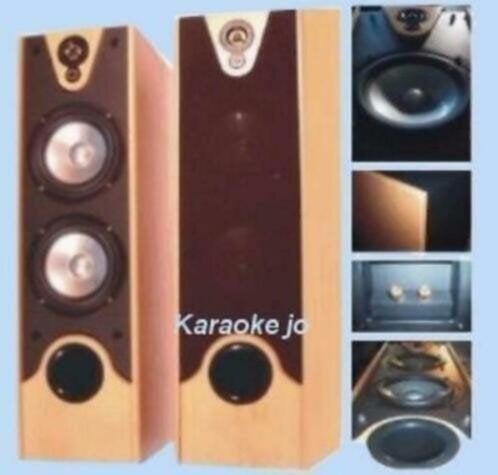 Speakers 2 x 180 Watt beuken houten kast op Spikes