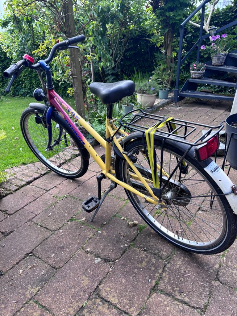 Batavus Snake Fox Kinderfiets - Gebruikt, Fietsen en Brommers, Ophalen of Verzenden, Gebruikt, Velgrem, 20 inch of meer