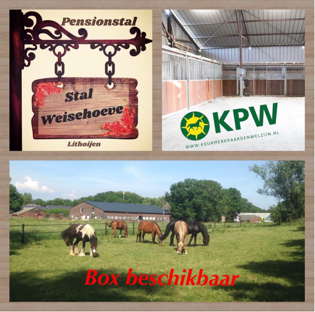 Stalling aangeboden, Dieren en Toebehoren, Stalling