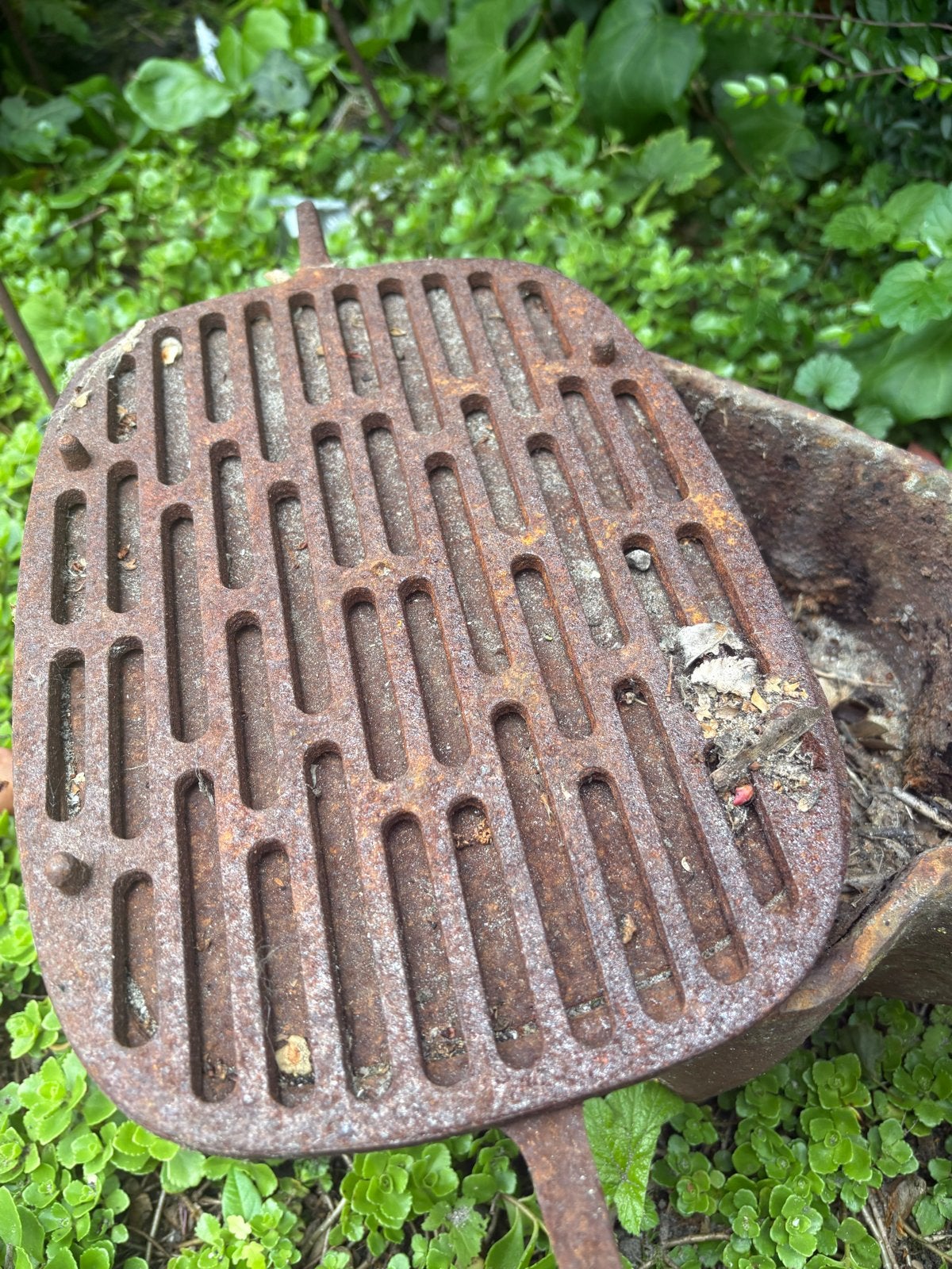Unieke BBQ in de vorm van een koe- gietijzer, Tuin en Terras, Houtskoolbarbecues, Gebruikt, Ophalen