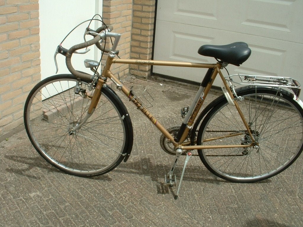 fietsen, Ophalen, Velgrem, Versnellingen, Gazelle