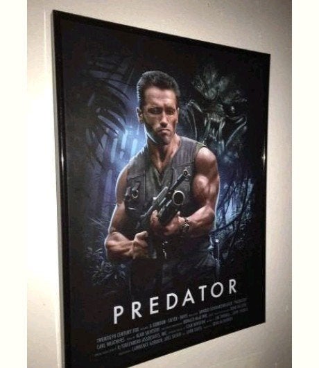 Predator, Ophalen of Verzenden, Zo goed als nieuw, A1 t/m A3, Film en Tv