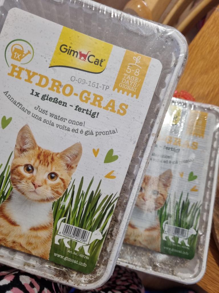 Kattengras, Dieren en Toebehoren, Dierenvoeding, Ophalen of Verzenden, Kat
