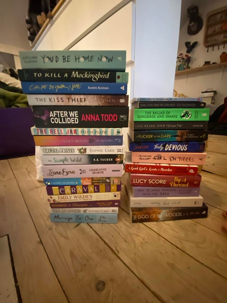 Grote collectie Engelse boeken - Diverse genres, Boeken, Romans, Ophalen, Gelezen, Wereld overig