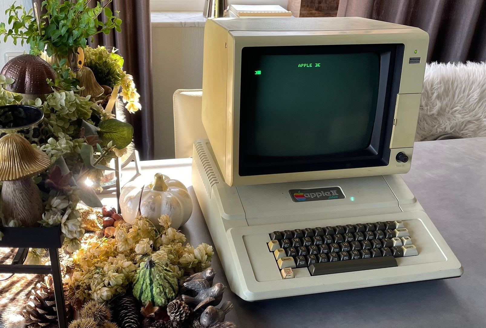 Apple II plus, Computers en Software, Ophalen