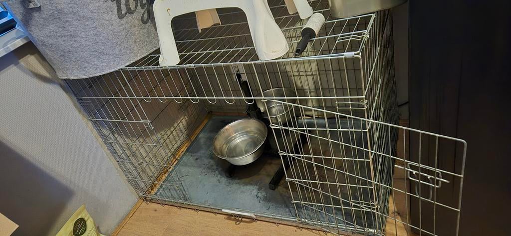 Honden bench XXL, Ophalen