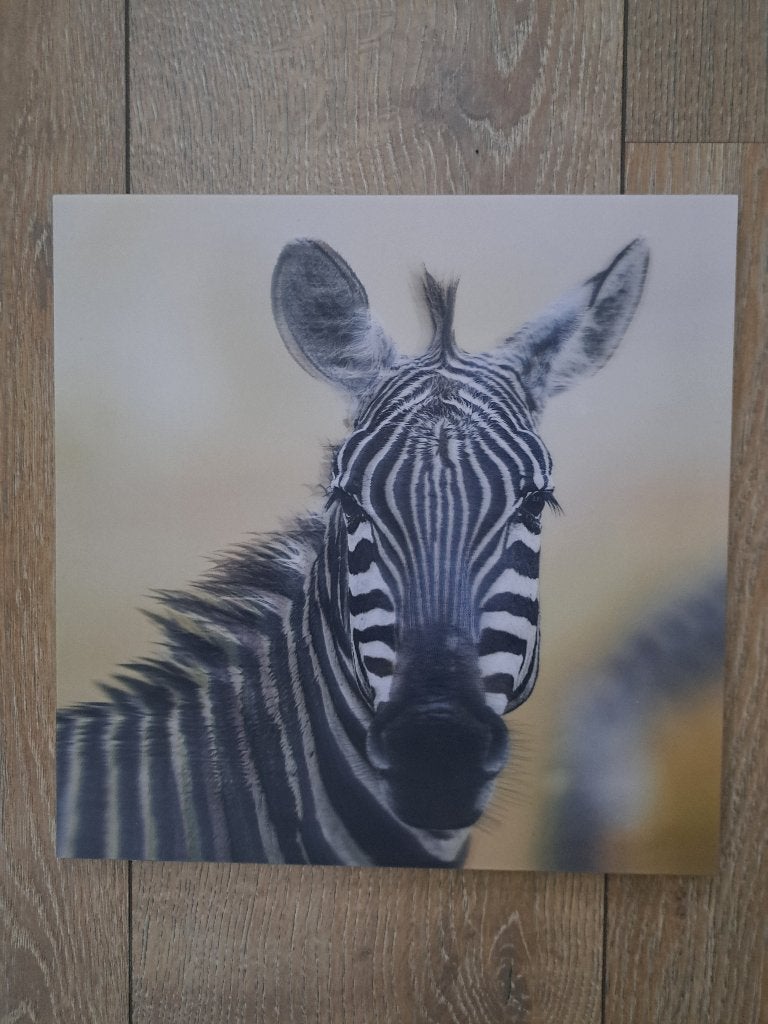 Schilderij Zebra 28cm, Minder dan 50 cm, Ophalen of Verzenden, Zo goed als nieuw, Schilderij