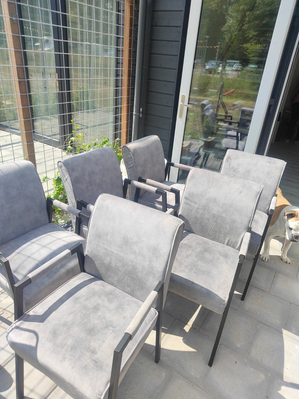 6 eetkamer stoelen!!, Huis en Inrichting, Ophalen, Gebruikt, Vijf, Zes of meer stoelen, Stof