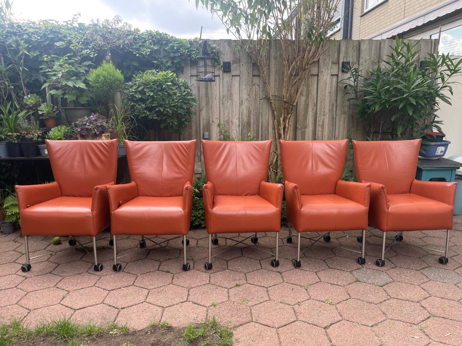 5 leren eetkamerstoelen. Kleur: cognac. Merk: Jess, Huis en Inrichting, Ophalen of Verzenden, Zo goed als nieuw, Bruin, Vijf, Zes of meer stoelen