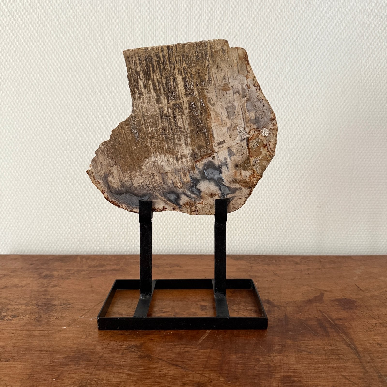 Versteend hout op metalen standaard – fossiel 33 cm hoog, Ophalen of Verzenden