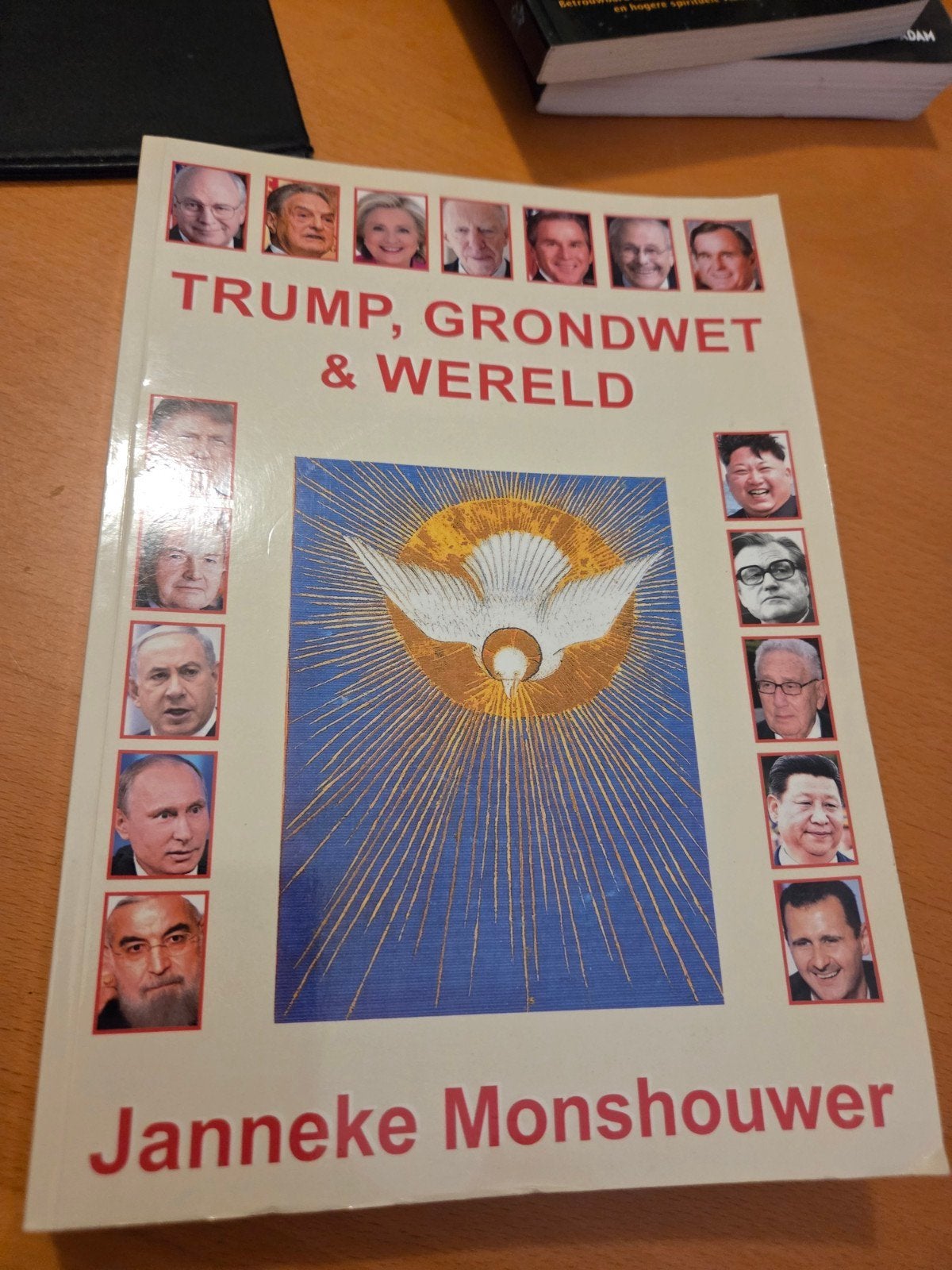 Trump, Grondwet & Wereld - Janneke Monshouwer, Ophalen of Verzenden, Zo goed als nieuw, Politiek en Staatkunde, Janneke Monshouwer