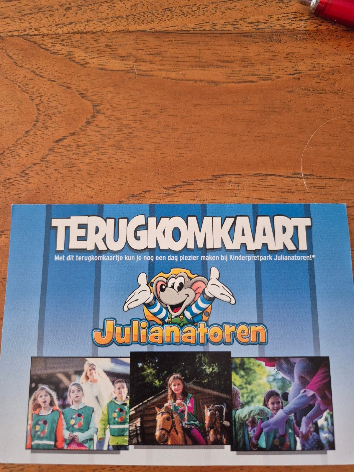 Terugkomkaartje Julianatoren, Tickets en Kaartjes, Eén persoon, Ticket of Toegangskaart