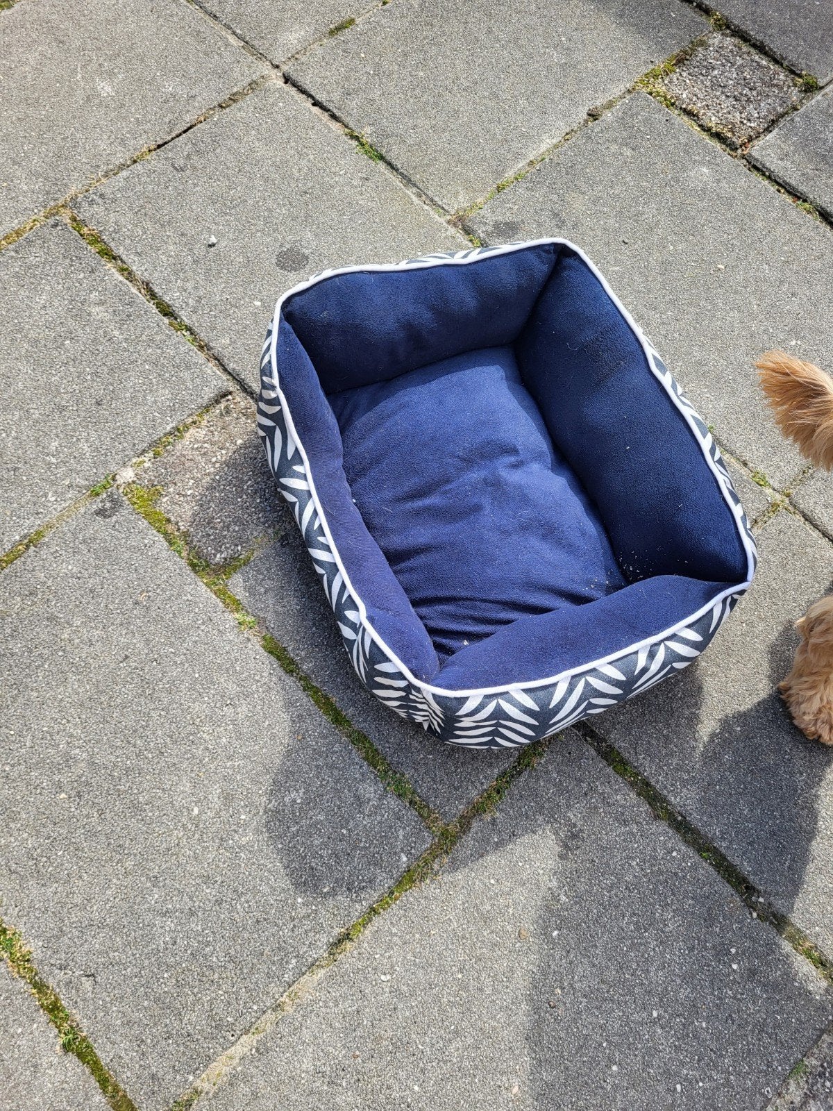 Katten of hondemandjes, Ophalen
