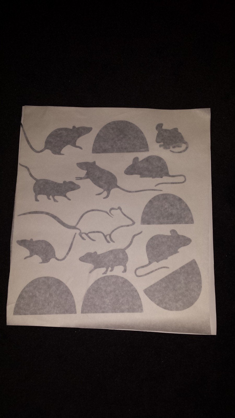 Leuke teksten en trapstickers voor huis, stal of dieren, Meerkleurig, Overige stijlen, Nieuw, Kunststof