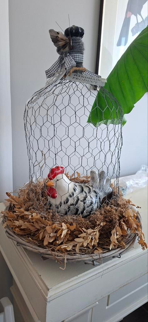 kip met gaastolp, Ophalen of Verzenden