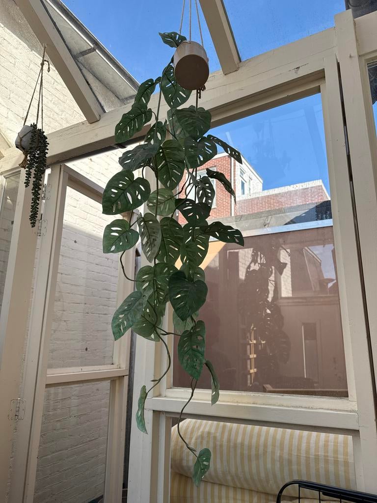 Set van 4 Kunsthangplanten - Monstera, Philodendron, Erwtenp, Binnen, Groen, Kunstplant, Ophalen of Verzenden