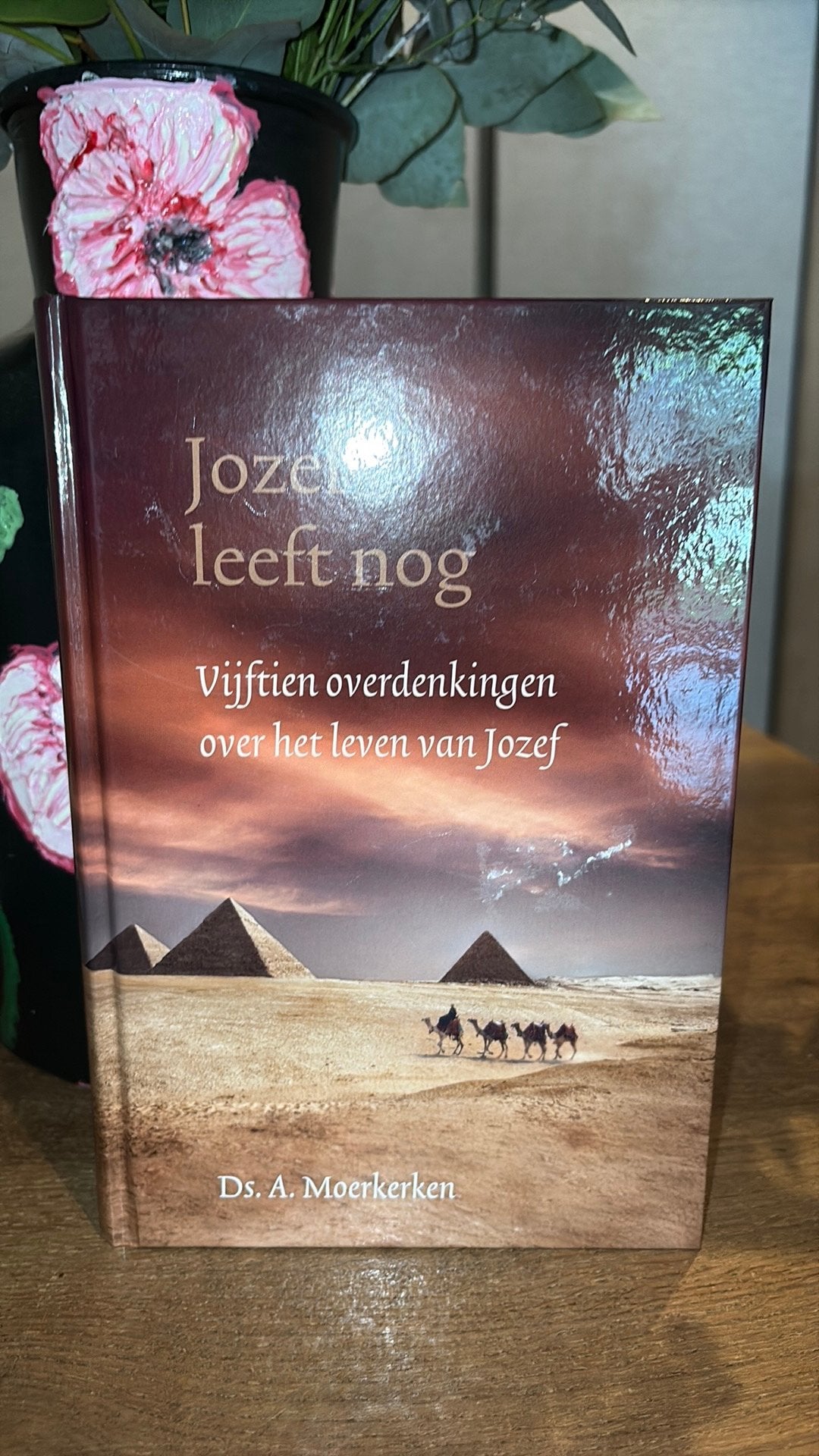 Ds. A. Moerkerken - Jozef leeft nog, Ophalen of Verzenden, Zo goed als nieuw, Ds. A. Moerkerken