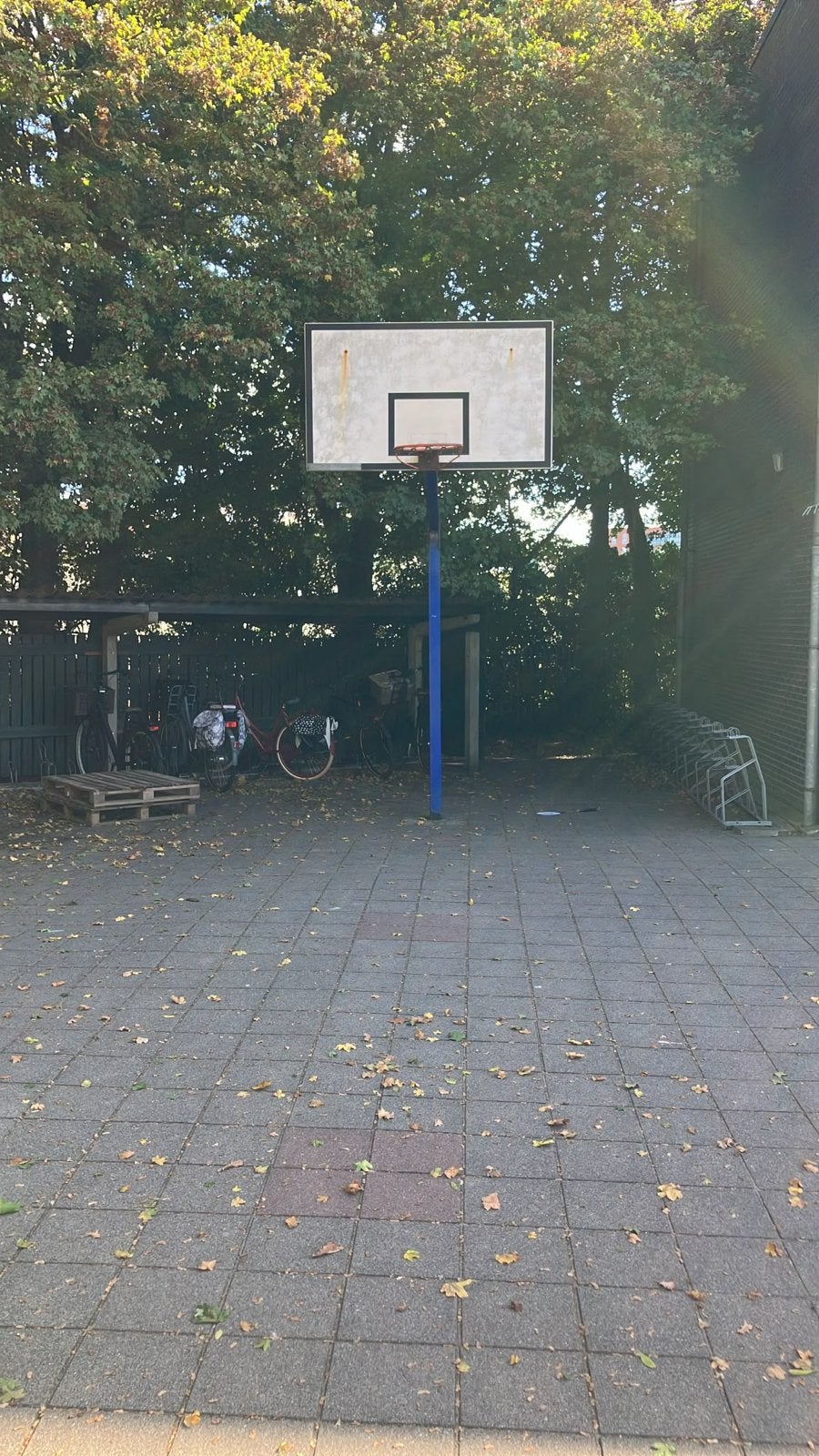 Basketbalring met bord en paal, Sport en Fitness, Ophalen, Gebruikt, Ring, Bord of Paal