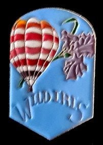 Wildiris ballon pin, Verzenden, Nieuw, Transport, Speldje of Pin