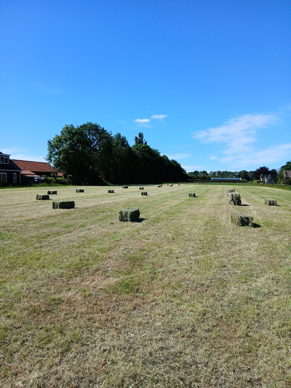 Hooipakjes, Ophalen, Vee