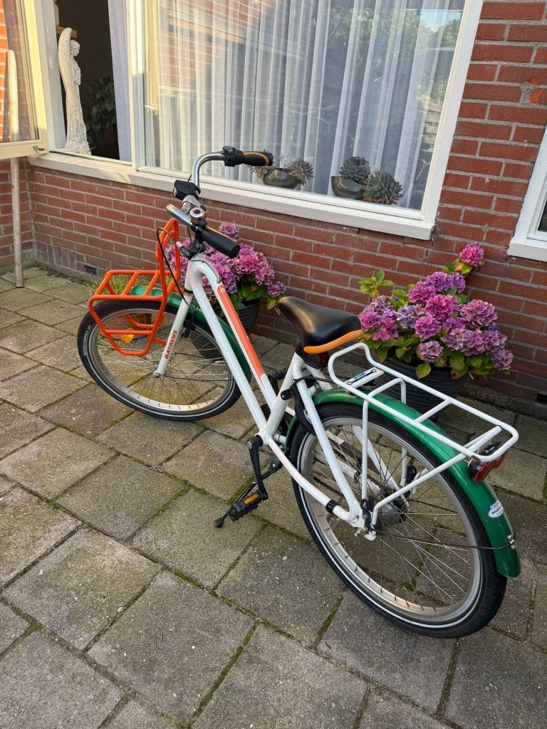 gebruikt fiets, Fietsen en Brommers, Ophalen, Versnellingen, Batavus, Gebruikt