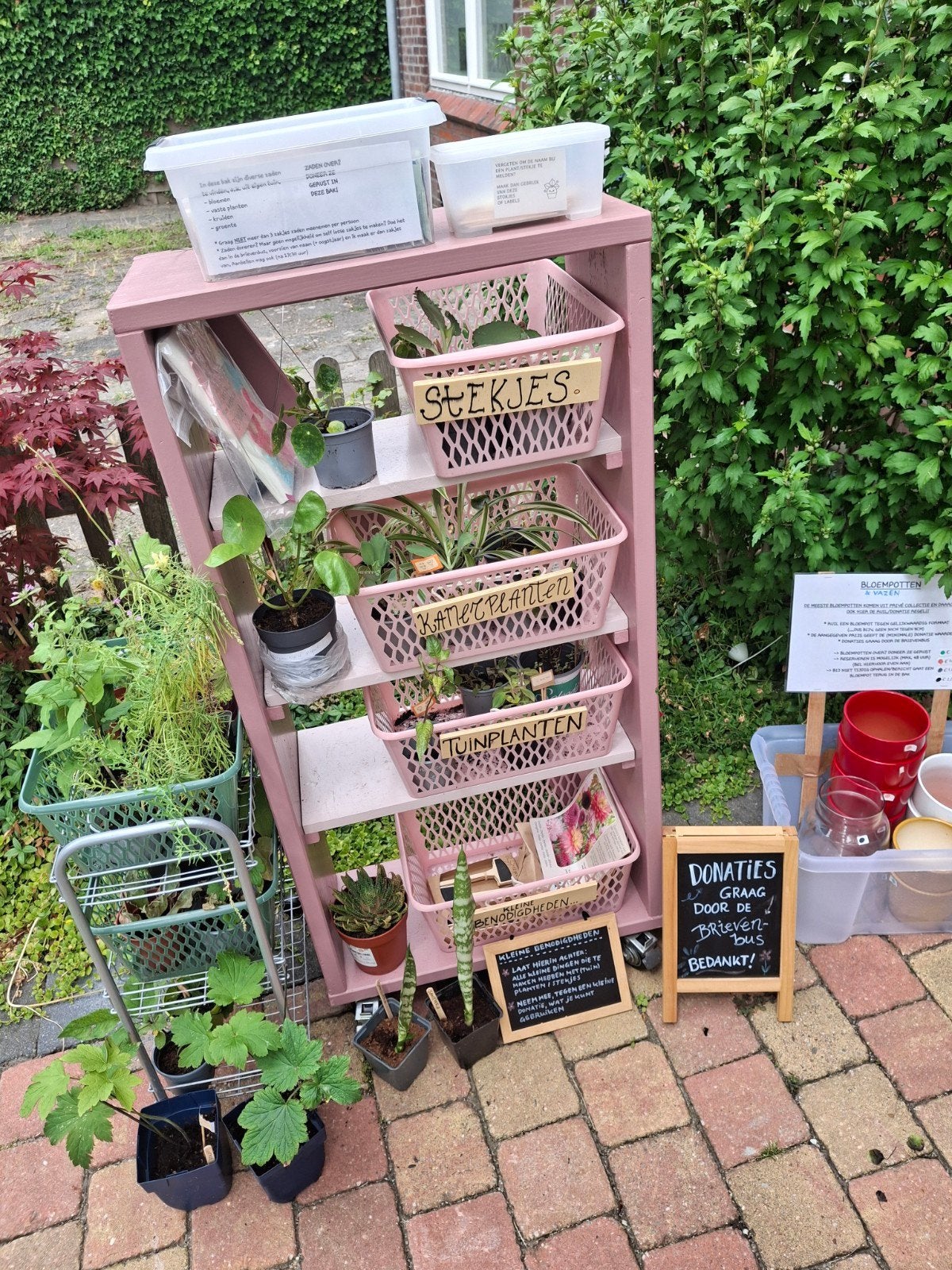 BIEB; BOOKS & PLANTS | Ruil, Breng, Doneer, Ophalen, In pot, Halfschaduw, Minder dan 100 cm